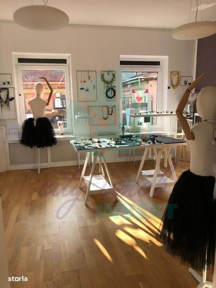 Un apartament Chic ideal ca locuinta sau activitate - 12