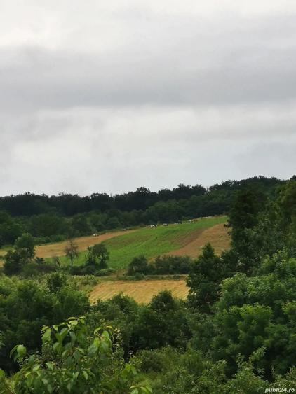 Casa zona de padure - 2
