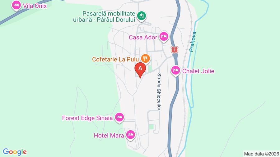 2 Camere, Platou Izvor - 1