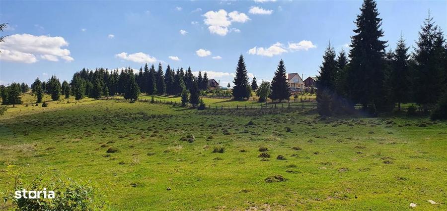 Oportunitare | Teren 1350 mp cu PUZ | Belis - 10