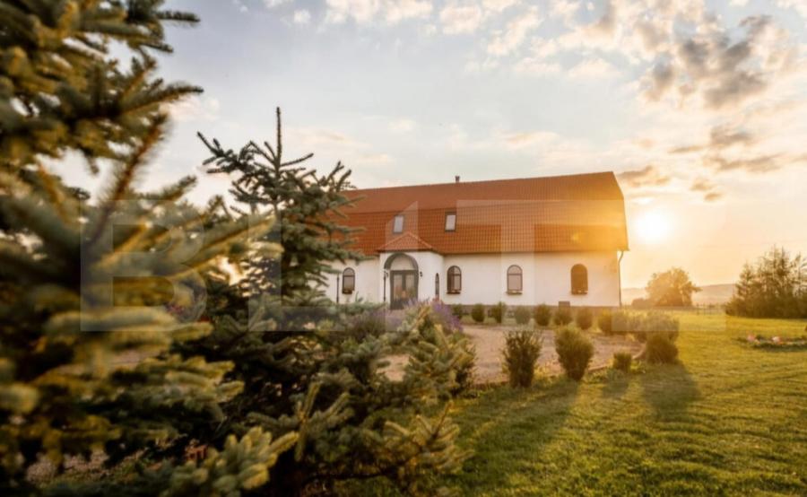 Conac de vanzare 7 camere cu bai proprii, crama, ciubar ? - 12