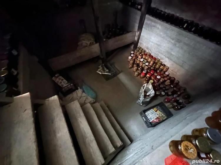 Casa spa?ioasa in Zerve?ti la 5km de Caransebe? ?i 20km de Muntele Mic - 3