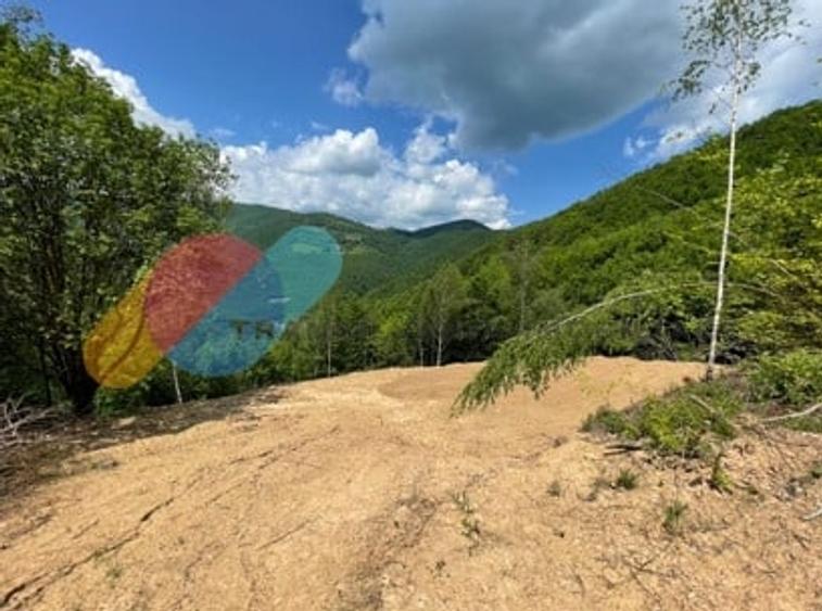 Teren 2200 mp, intravilan, zona Somesul Rece - 1