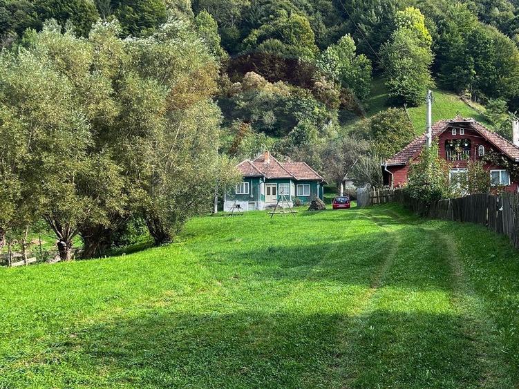 Teren 6,135mp Moieciu de Jos / Strada Principala - 8