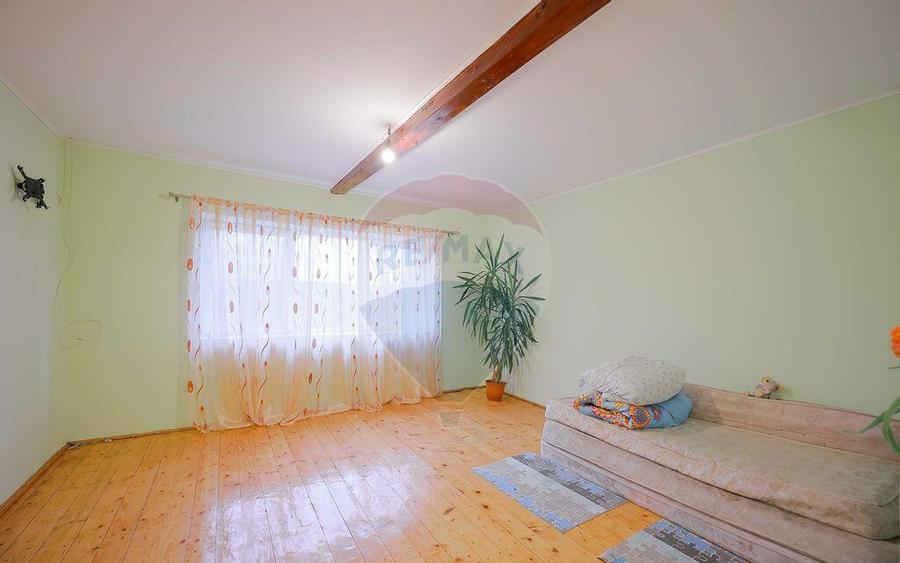 Casa cu teren de 3474 mp in Sannicolau Roman - 6