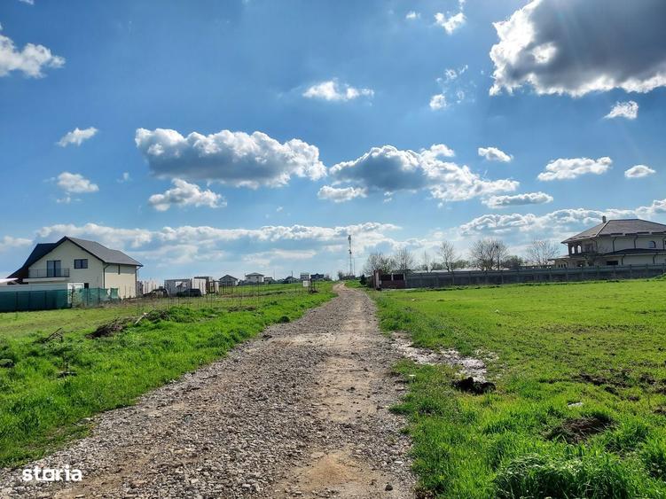 Teren intravilan 454 m2 investitie comuna Berceni IF - 3
