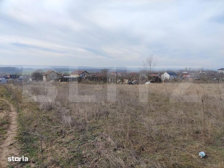 Teren intravilan, Malu Mare, 1469 mp, Aleea I Nucilor - 5