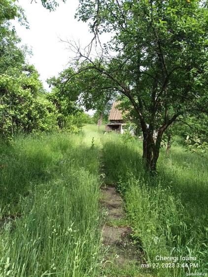 casa la ?ara zona de munte Glajarie - 4