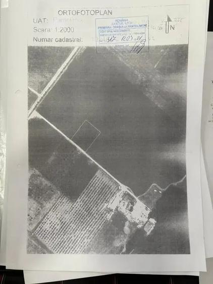 Oportunitate Teren Case Individuale sau Duplexuri Padurea Cernica 300m - 3