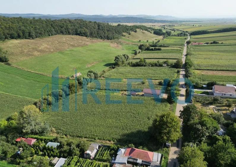 Teren intravilan de vanzare, Sat Bogdan?ti, Com. Traian - 3