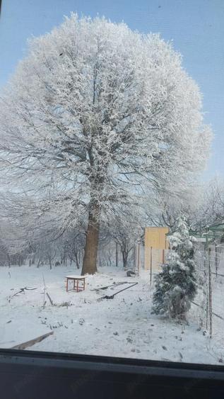Casa din lemn,Zona Paun Barnova - 6