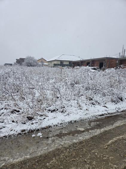 Vand teren prunilor - 7