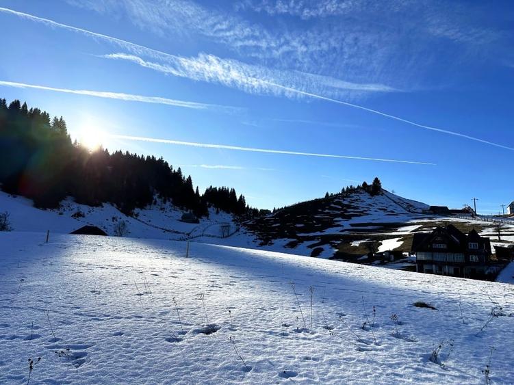 Teren intravilan 8400 mp, Fundata, zona Bran -  Moieciu - 7