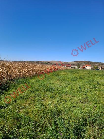 📢 De vânzare teren în Sântana de Mureș, pe strada Sportivilor! - 7