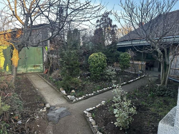 Casa in Ghioroc jud Arad - 4