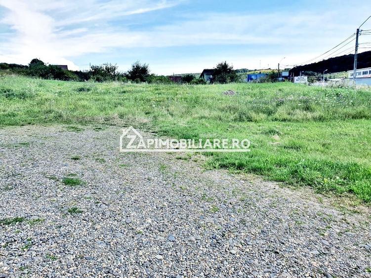 Teren intravilan 3.000 mp.cu deschidere de 40 m la E60 - 5