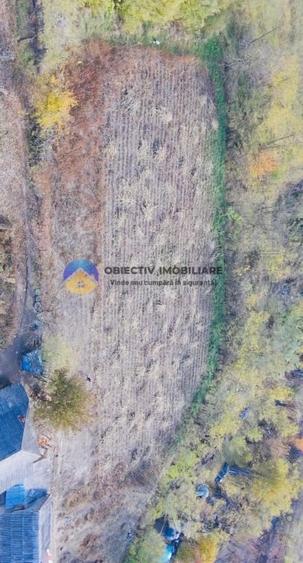 Teren de vanzare 11.766 mp – Costisa, judetul Neamt - 1