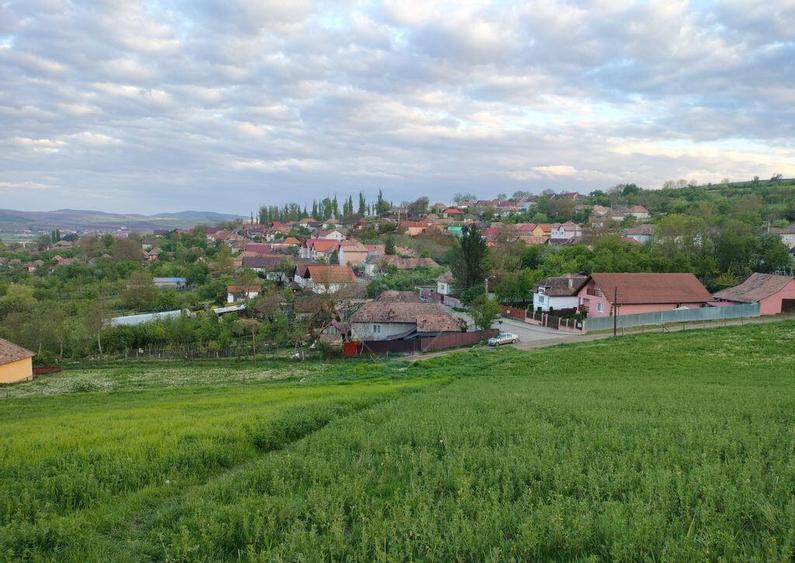Teren intravilan Tarnaveni - 6