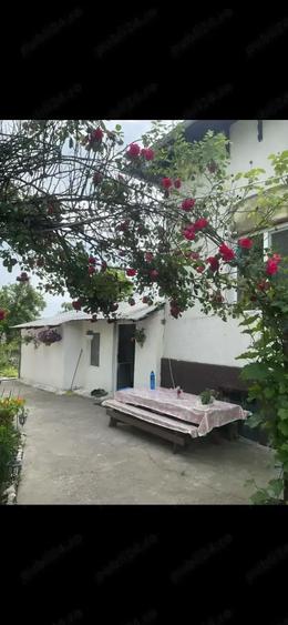 Casa de vanzare - 15