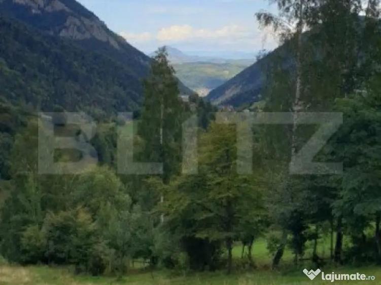 Teren 13.570 mp, Moieciu Pestera - 9