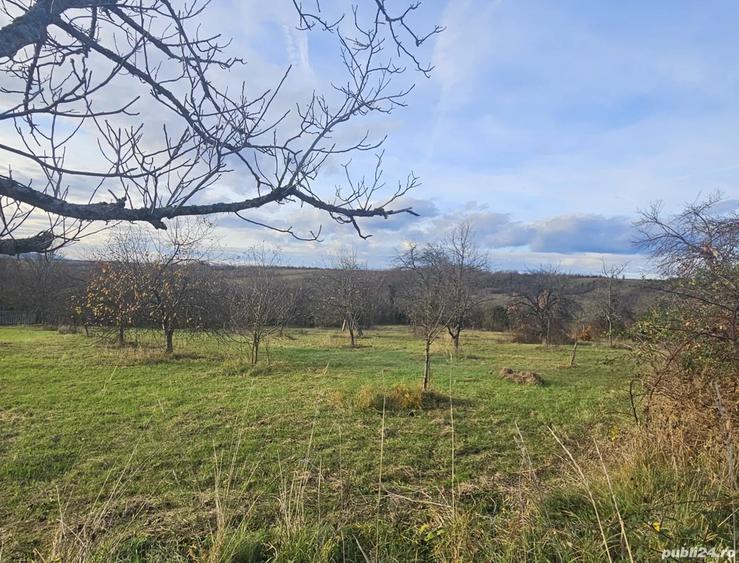 Casa de vanzare la ?ara - 2