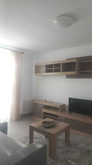 Apartament 2 camere de inchiriat Intrarea Barsei / Costin Georgian - 2