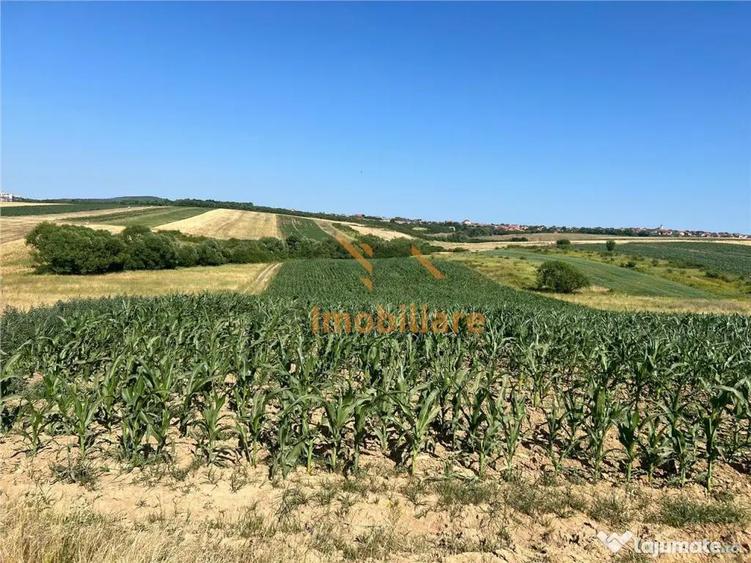 TEREN INTRAVILAN 2877 MP | DUBLU FRONT | CORDAU - 4