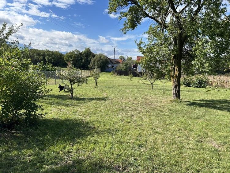 Grădina din Cetate – Un Colț de Istorie și Natură, Doar al Tău - 9