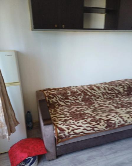 Garsoniera - granit - pentru cupluri - si animal de companie - 1