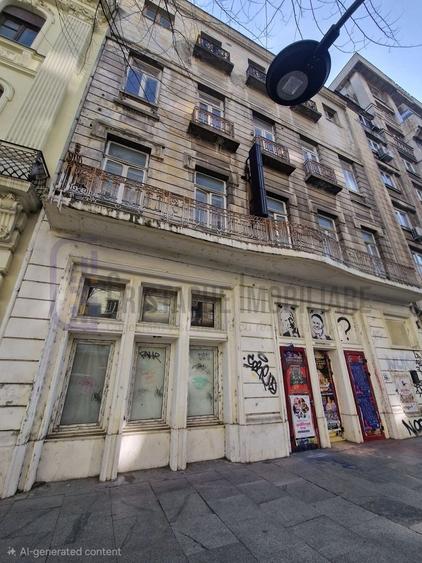 Spatiu comercial stradal Regina Elisabeta - 2