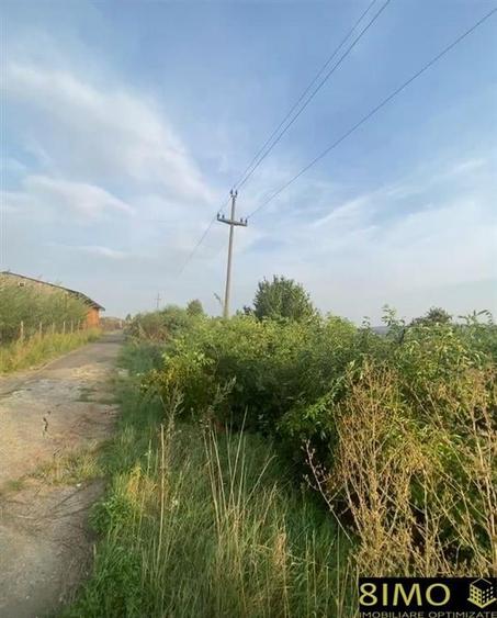 Teren 5000mp extravilan Tarna Mare - 2