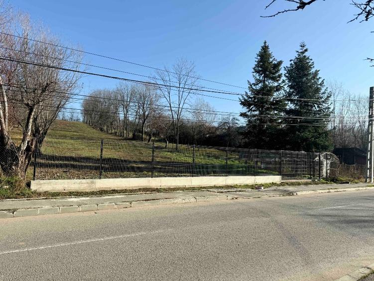 Teren Pucioasa 4800m Deschidere 19m la Str Garofitei Intravilan - 4