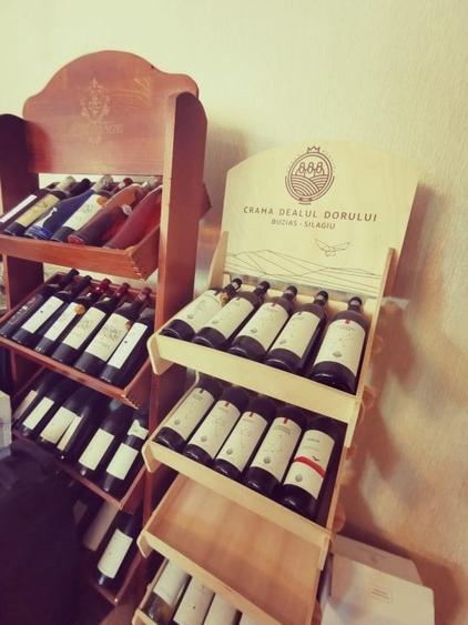 Hanul Potcoava Norocoasa – Business “la cheie“ Ortisoara !! - 12