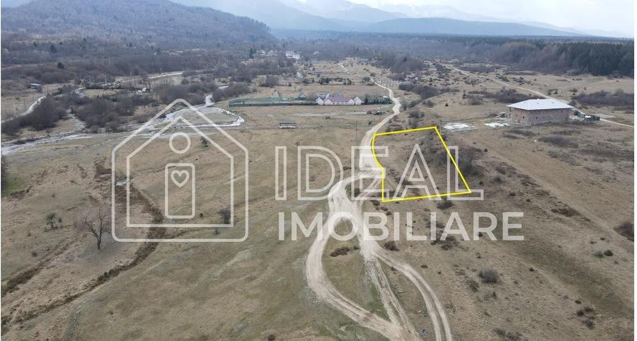 Teren extravilan de vânzare – Cârțișoara | Vedere spre Munții Făgăraș - 2