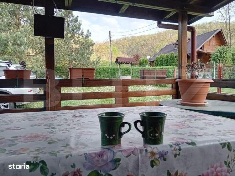 Cabana + teren generos, 60 mp utili, 30 km de Deva - Boz - 10