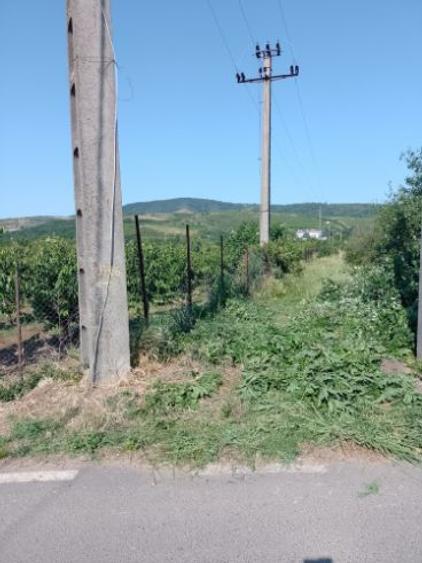 Vind teren intravilan - 6