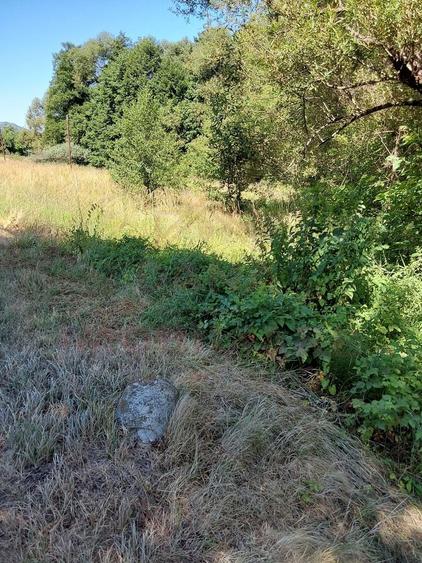 TEREN INTRAVILAN ÎN MARGA-LA DN68 JUD.CARAȘ-SEVERIN - 5