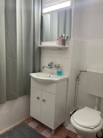 Vand garsoniera Lapus Arges - Trenul pierdut - 3