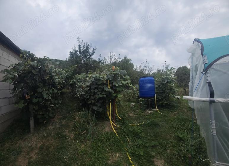Gospodarie de vanzare in comuna Davide?ti, sat Voroveni. - 1