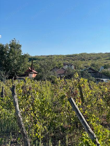 Vand casa in Podari in zona excelenta - 8