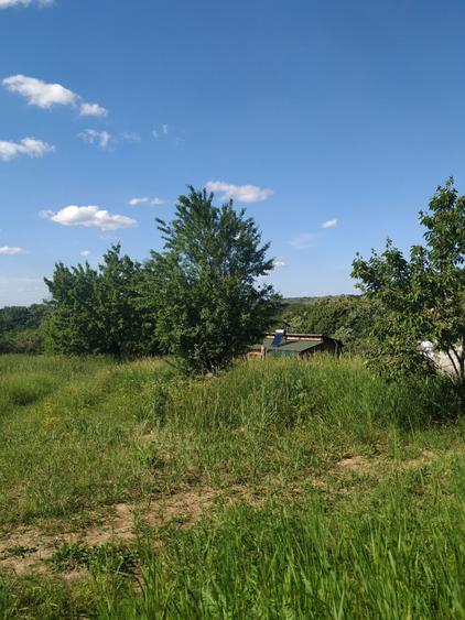 Vand teren intravilan Gheorghe Doja - 2