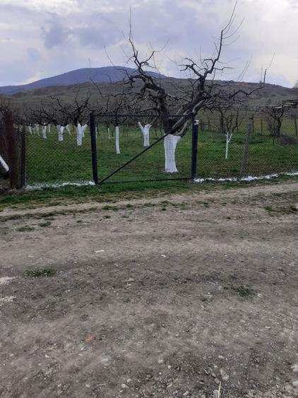 Vand teren extravilan livada - 2