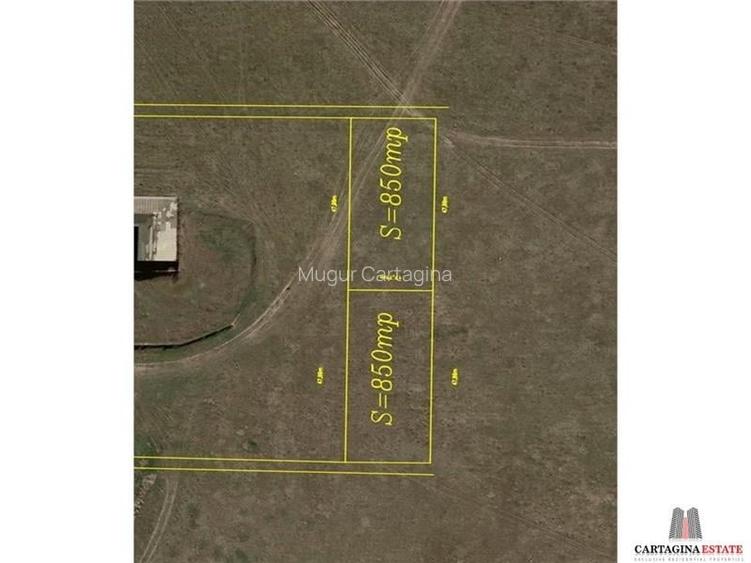 TEREN INTRAVILAN  852MP / FS 17ML / PIPERA / OXFORD / PADURE