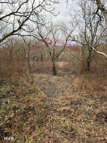 DE VANZARE Teren Strada Victoriei Baia Mare - 9