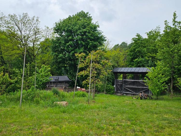 Carbunari,50 ari teren - 1