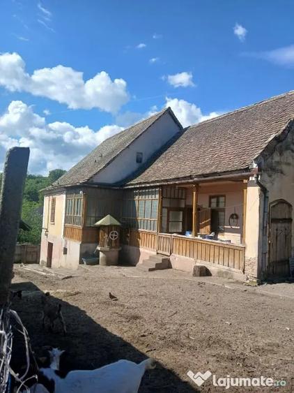 Casa SASEASCA de vanzare - 3
