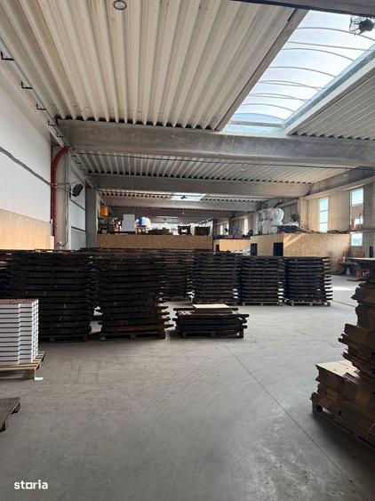 Parc industrial Ciolpani - 10