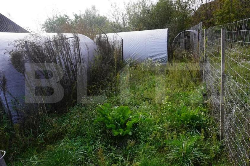 Casa 140 mp, cu teren 3.800 mp, Tatara?ti - 19