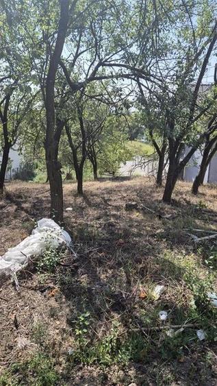 RECO Teren intravilan in Oradea - 12