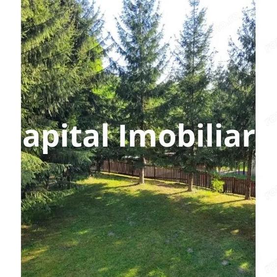 Proprietate Unica in Inima Naturii Galaoaia, Mure? - 4